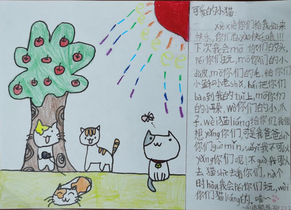   一年6班 张睿辰