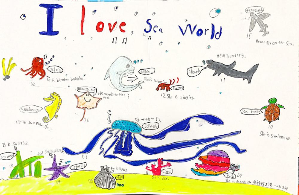 一年7班 29号 张梓珵 海报 I Love Sea World