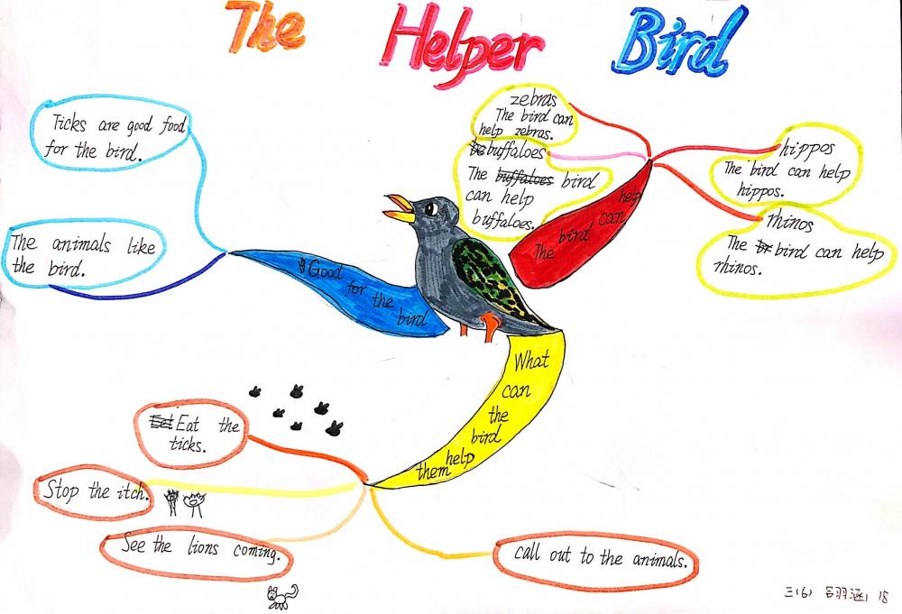 三年6班 吕羽涵 18号 思维导图