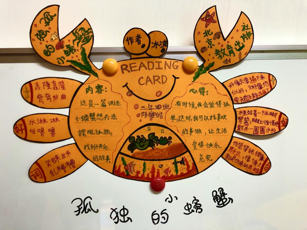 手抄报   二年3班  陈楚皓