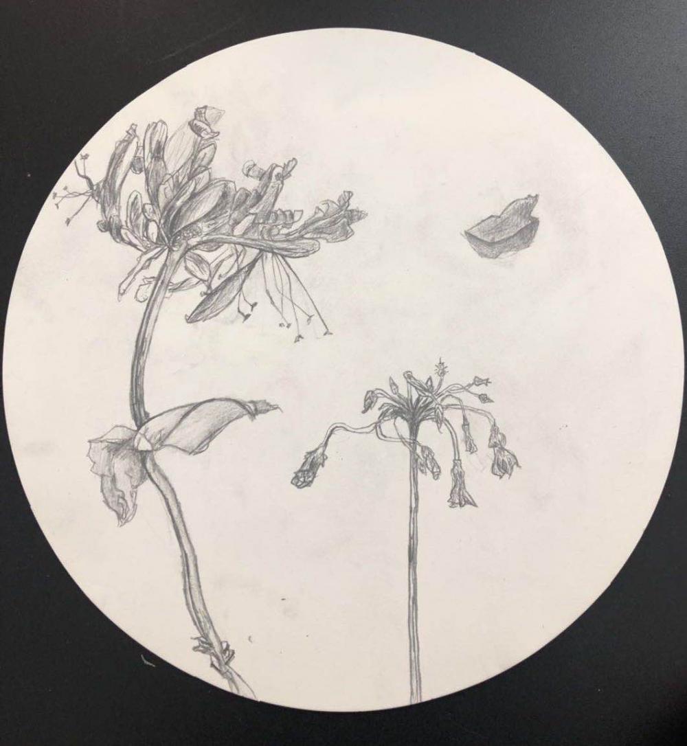 作品名称：《鲜花（二）》六年（8）班 苗子谦