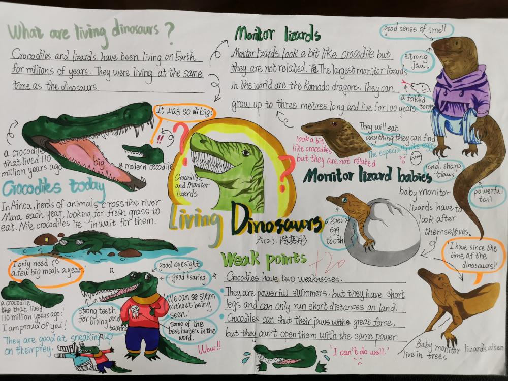 Living dinosaurs 六年2班  陈奕彤 