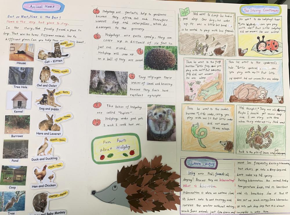 头条 三年5班 34号 游铭峰 About animals