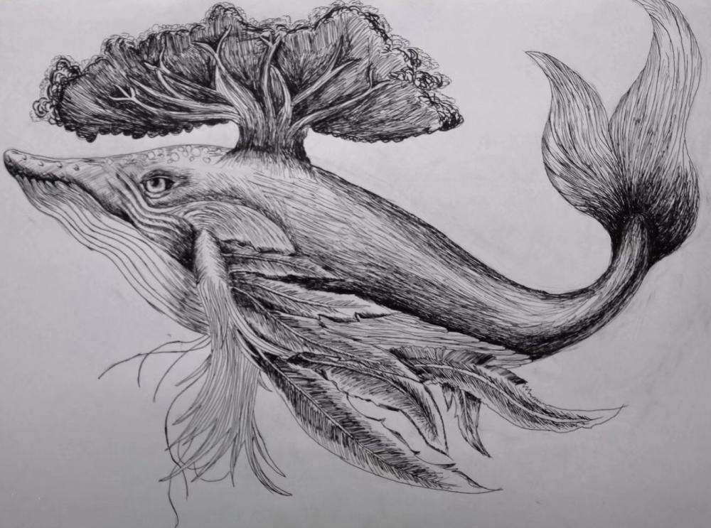 鲸鱼 四年（7）班 苏泓源
