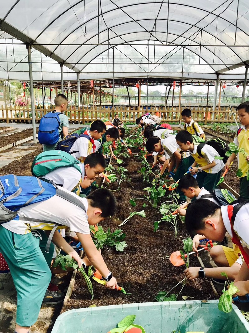 走近自然 感受农趣——中大附小春游活动圆满结束