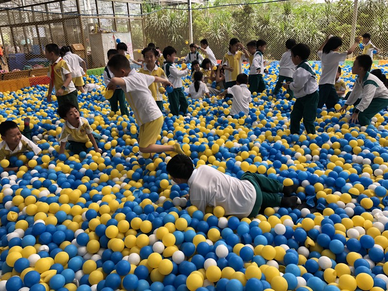 走近自然 感受农趣——中大附小春游活动圆满结束
